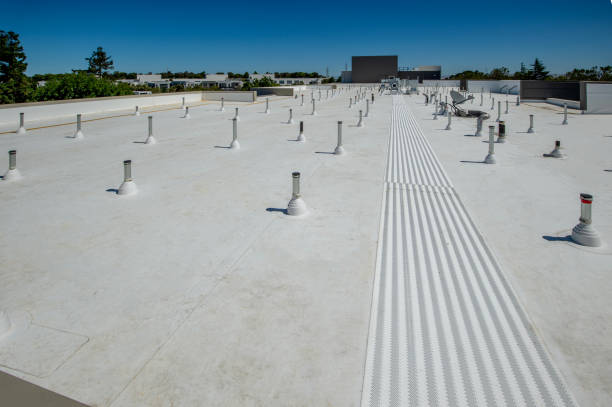 Roof Coating Services in Pocomoke City, MD